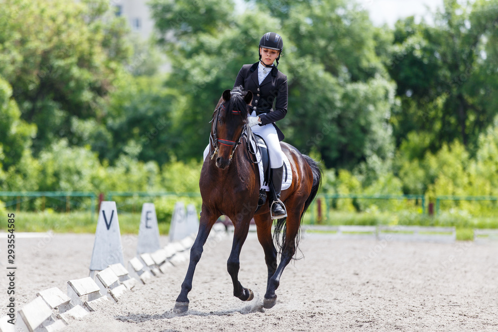 Fototapeta premium Young woman riding horse on dressage advanced test