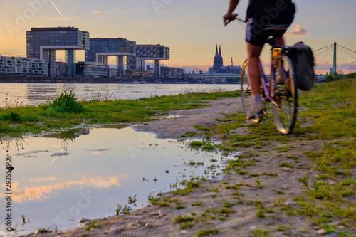 Am Flussufer in Köln am Rhein bei Sonnenuntergang mit Blick auf die Kölner Skyline mit den Kranhäusern, ein Radfahrer fährt neben einer Pfütze den Rhein bei den Poller Wiesen entlang.