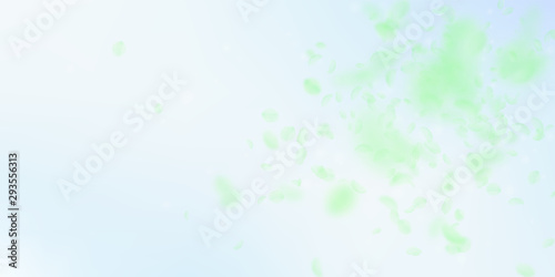 Green flower petals falling down. Mind-blowing rom