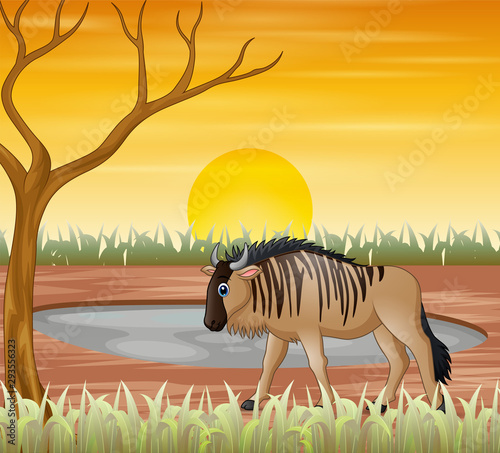 Bison animal cartoon in the dry land
