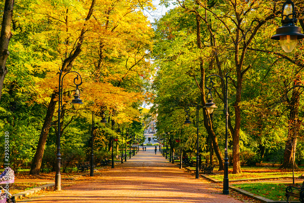 autumn is coming view of city park with yellow and green trees autumn is coming view of city park with yellow and green trees