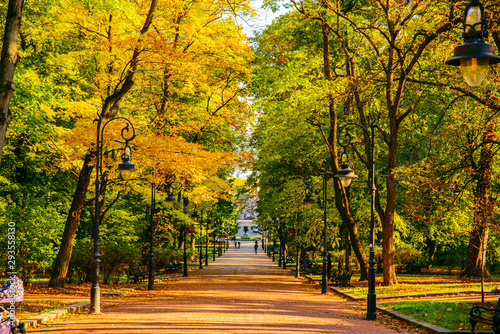 Photography autumn is coming view of city park with yellow and green trees