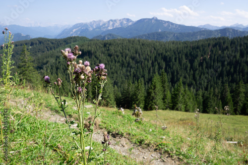 Berge Alpen Allgäu