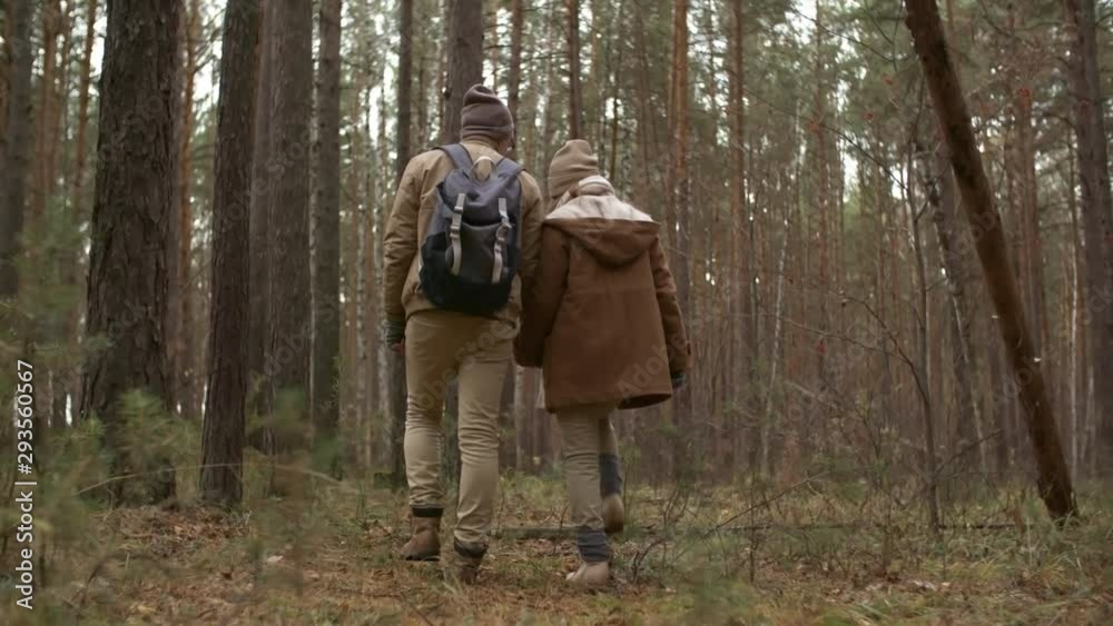 Back view of romantic couple holding hands and walking together through pine forest while hiking on autumn day Back view of romantic couple holding hands and walking together through pine forest while hiking on autumn day