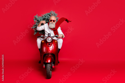 Full length photo of serious retired man carry fir tree drive bike have eyewear eyeglasses wear white sweater trousers boots isolated over red background