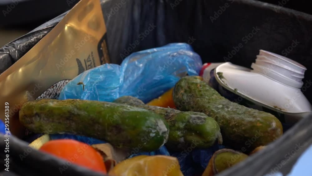 Housewife throws rotten vegetables in the trash. Reducing food loss and waste. Food waste or loss is food that is wasted or lost uneaten Stock Video | Adobe Stock