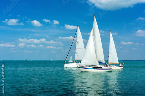 Canvas Print Sail Boats on the blue Lake Balaton Hungary
