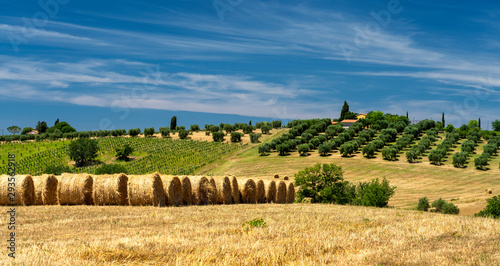 Canvas Print Rural landscape in Maremma at summer