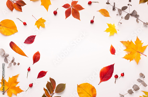 Colorful fallen leaves forming round frame for promotion