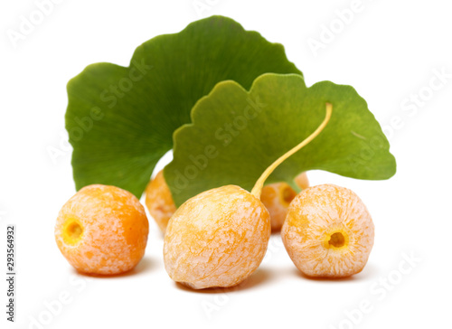 Ginkgo Biloba fruits on white background photo