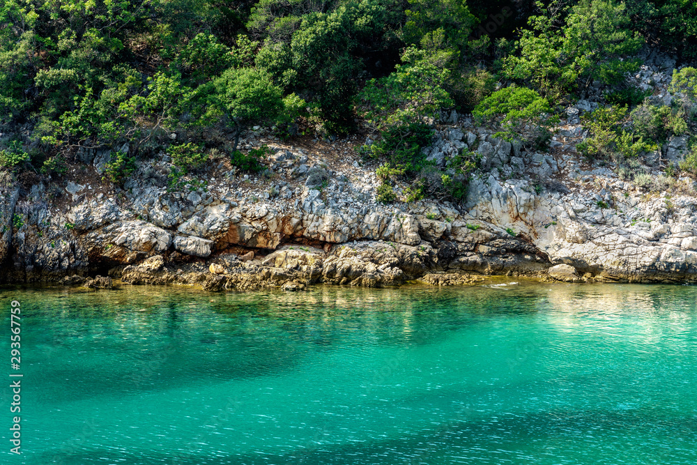 Naklejka premium rocky seashore on Croatia islans with turquoise water and pine trees