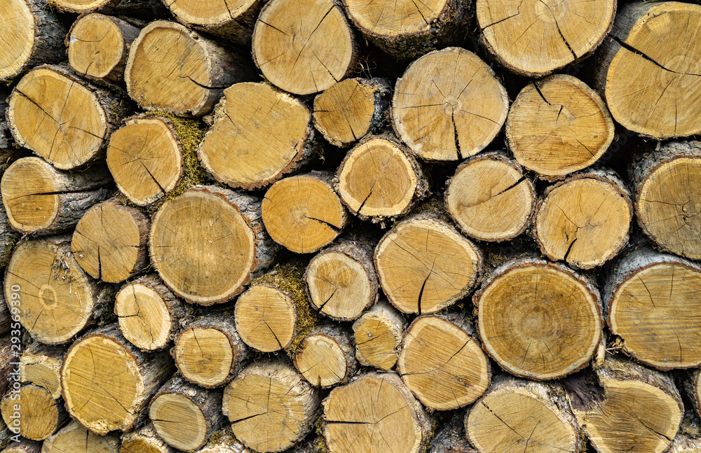 Wall of dry oak firewood stacked for winter heating fireplace or stove. Stacked wood pile as natural wood background. Yellow, gray, brown colors for background. Nature concept for design Wall of dry oak firewood stacked for winter heating fireplace or stove. Stacked wood pile as natural wood background. Yellow, gray, brown colors for background. Nature concept for design