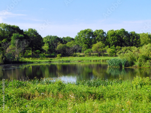 Pond Scene