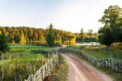 Idylic scandinivian countryside with road near lake in the forest with sunset.