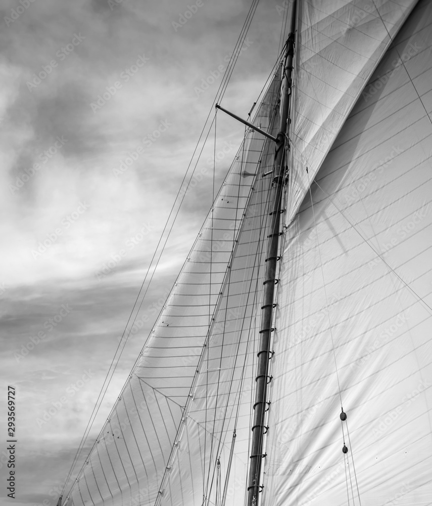 Fototapeta premium Sail