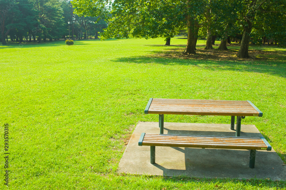 bench and table in the park