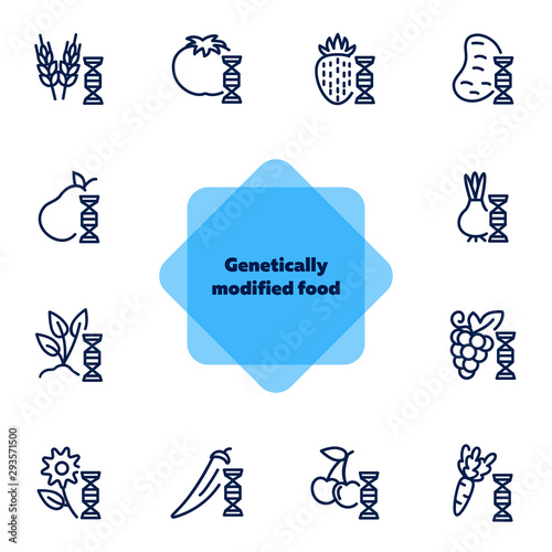 Genetically modified food line icon set. Gene, grain, fruit, vegetables. Food concept. Can be used for topics like genetics, agriculture, GM food