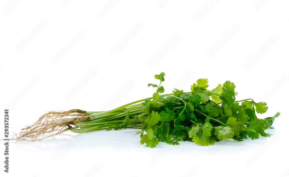 Bunch of fresh coriander leaves over white background