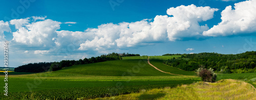 Road in a field. Cherkasy region, Ukraine
