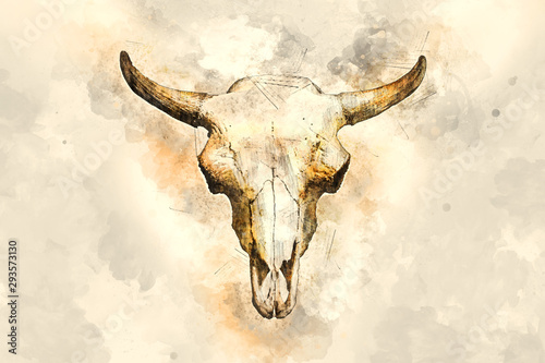 Watercolor drawing of a bull's head on a light background