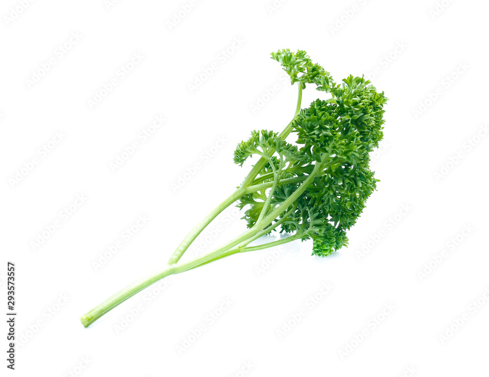 parsley isolated on white background parsley isolated on white background