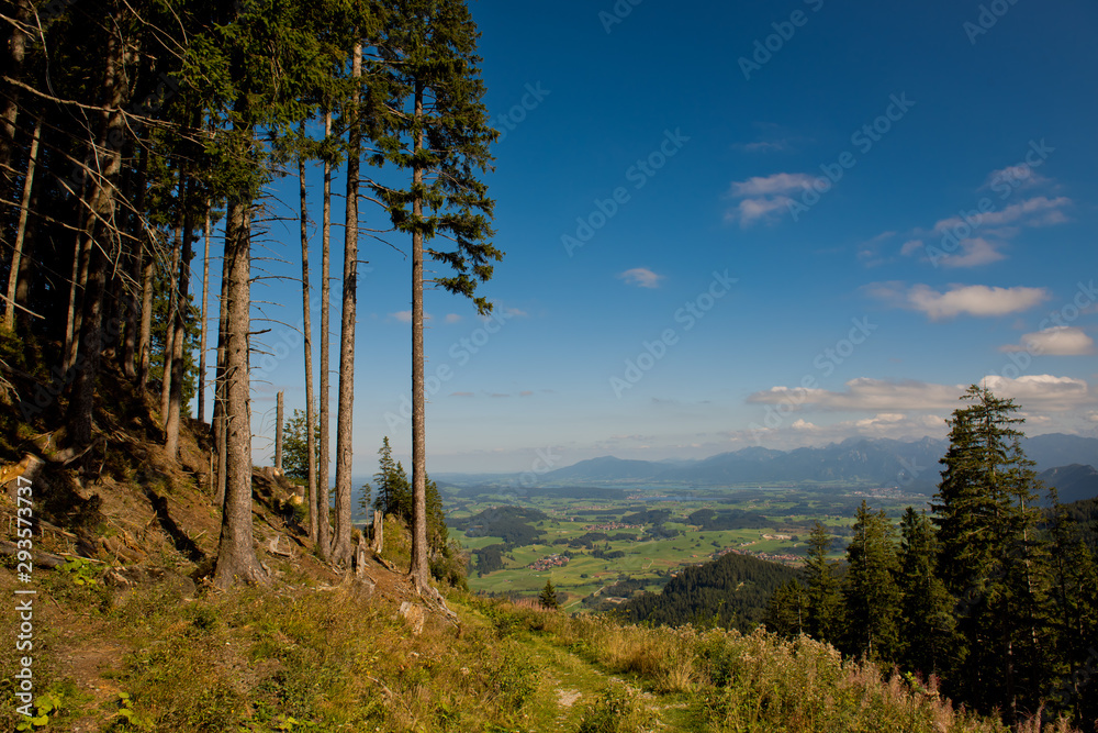 Landscape with forest mountains. Landscape with forest mountains.