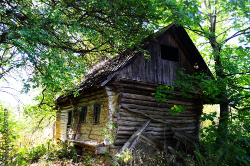 Old wooden house in the forest
