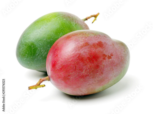 mangos on white background 