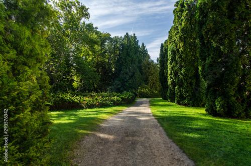 Ogród zamkowy 