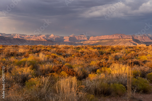 USA Westen Valley of Fire / Grand Canyon