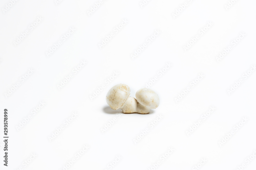two white mushrooms on a white background