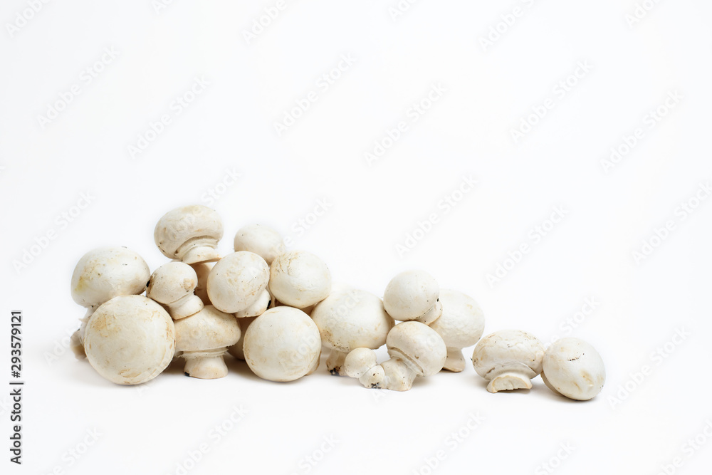 group of white champignons isolated on white background