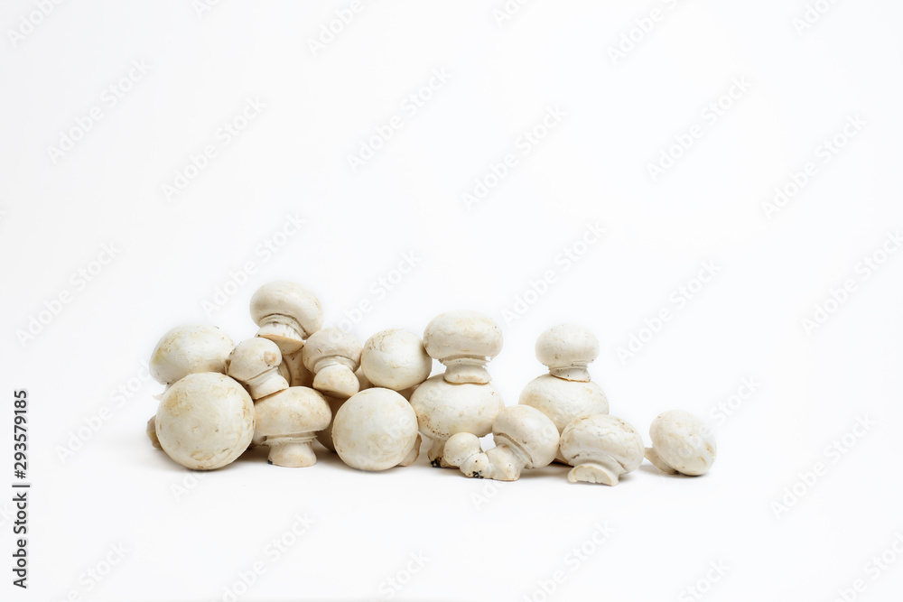 a group of white champignons isolated on a white background. bunch of mushrooms