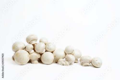 group of white champignons isolated on white background
