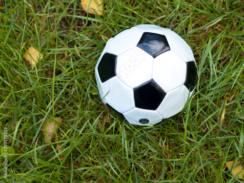 White-black leather soccer ball in a autumn grass playground © Богдан Мелещенко