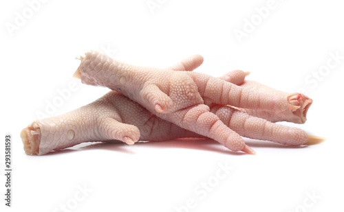 Chicken feet on white background