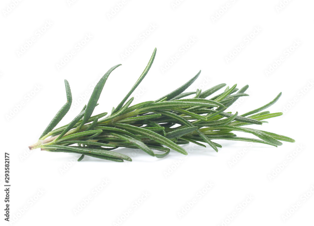 Fototapeta premium rozmaryn na białym tle