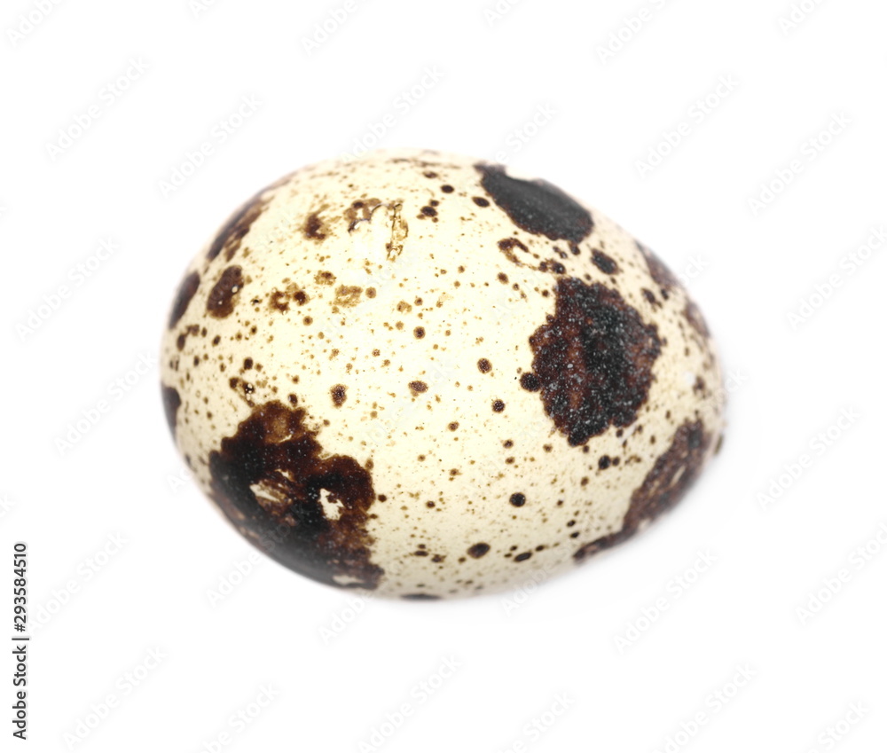 Quail egg isolated on white background, top view Quail egg isolated on white background, top view