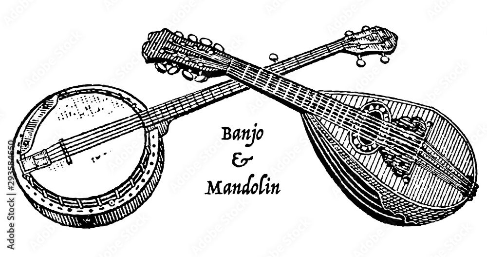 Poster Vintage engraving of a banjo and mandolin – Wall Art | UkPosters