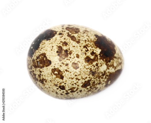 Quail egg isolated on white background, top view