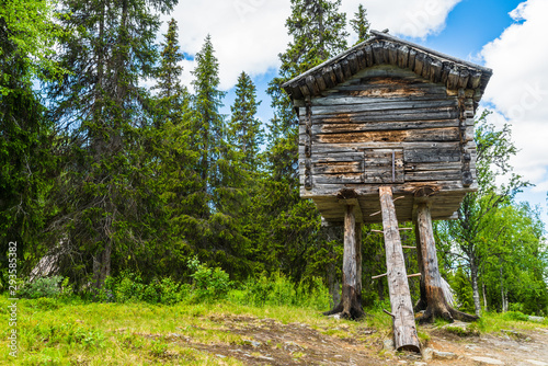 A Sami dwelling in northern Sweden located in a small Sami village called Fatmomakke and located along the Wilderness Road photo