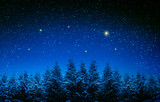 Christmas background with stars and trees in winter forest.