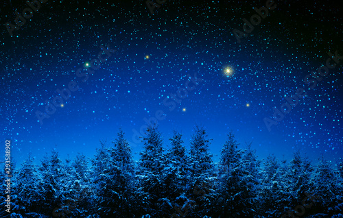 Christmas background with stars and trees in winter forest. © Swetlana Wall