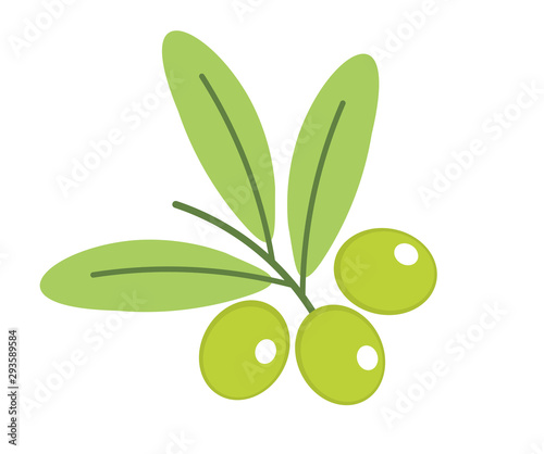 Branch of green olives icon.