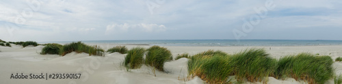 Panorama of the grassy dunes on the island of Terschelling