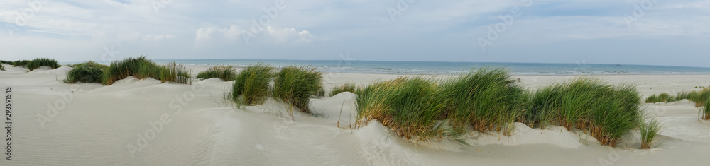 Panorama of the grassy dunes on the island of Terschelling