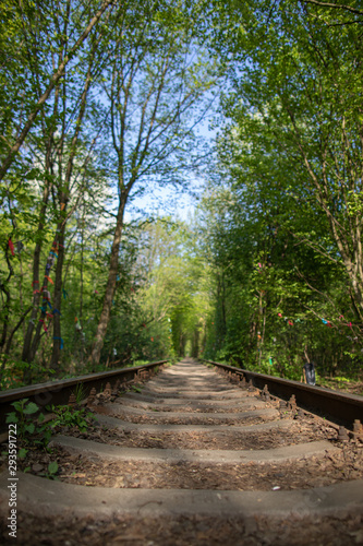 Single-track railway line in forest