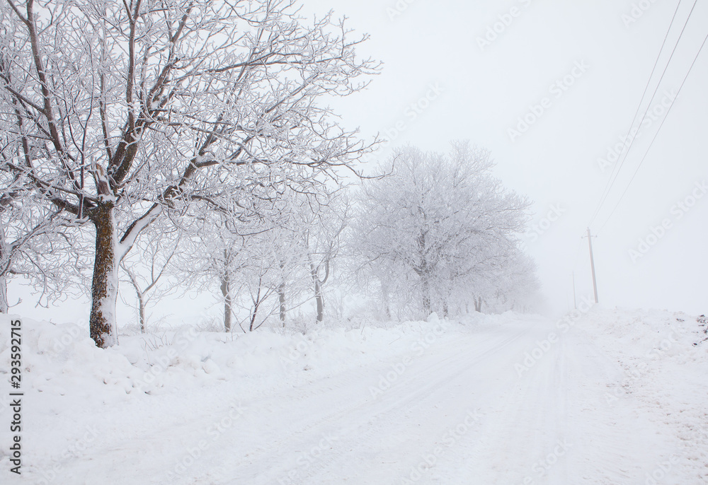 country road covered by snow in the winter 