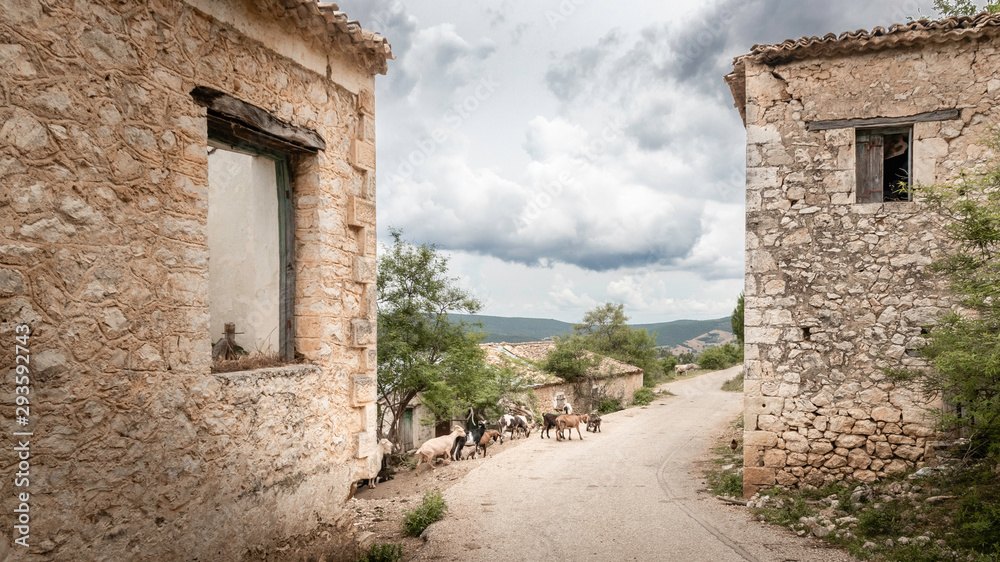 goats on road between ruined houses in abandoned earthquake village Palia Plagia in Greece