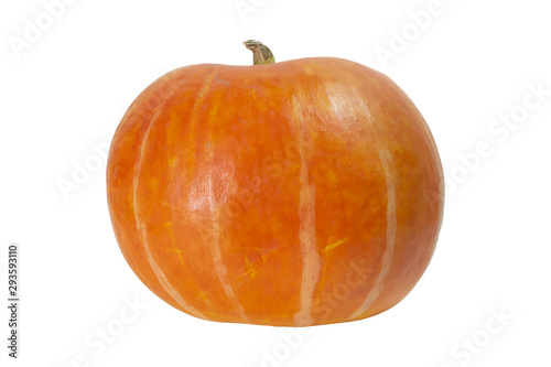 yellow-green pumpkin on an isolated background, vector